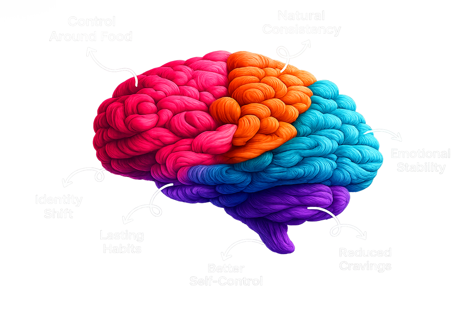 Brain After
